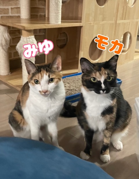 KakaoTalk_20240127_125029868