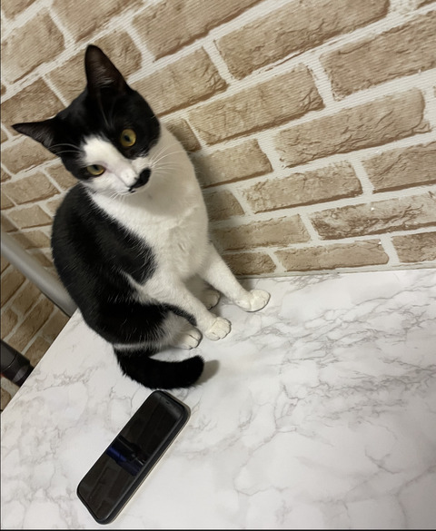 KakaoTalk_20220224_100402817_01