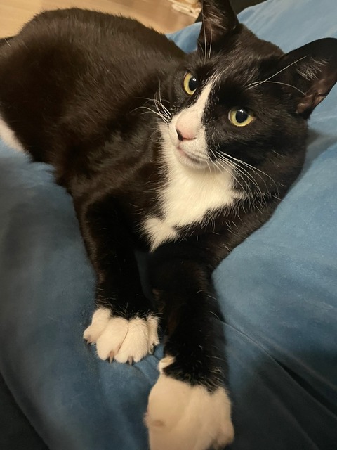 KakaoTalk_20250907_130101624