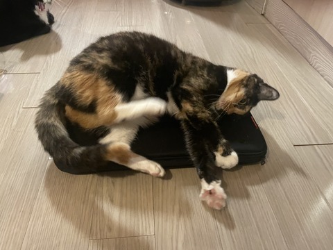 KakaoTalk_20250623_192932703_04