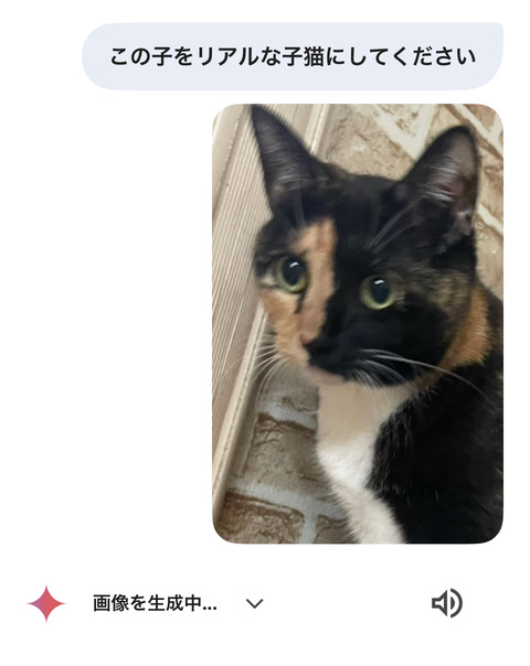 KakaoTalk_20250617_193720206