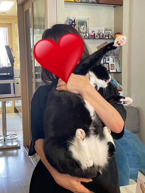 KakaoTalk_20240624_095040707_01