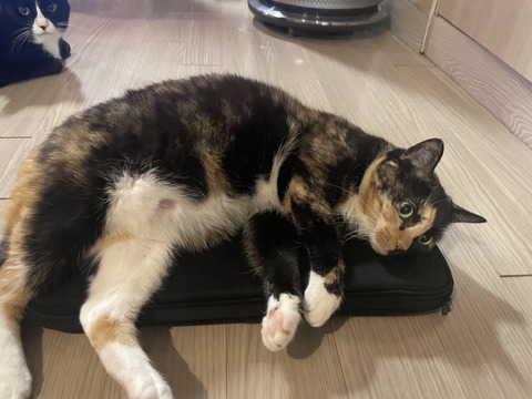 KakaoTalk_20250623_192932703_12