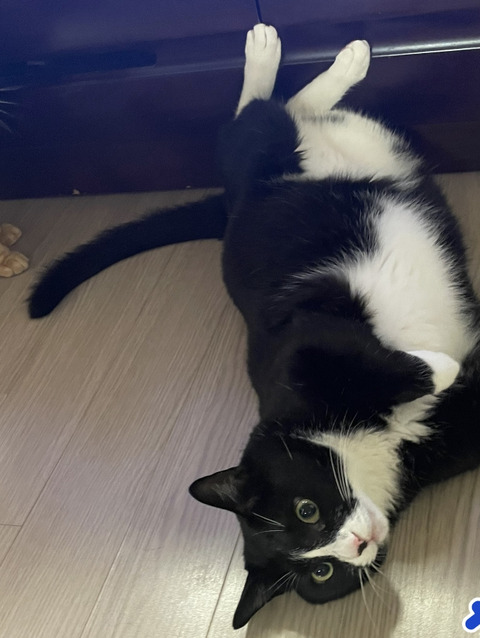 KakaoTalk_20240926_174140445