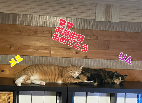 KakaoTalk_20250523_221725897