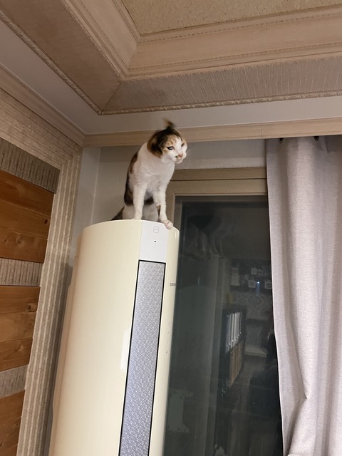 KakaoTalk_20240122_114856726_03 (1)