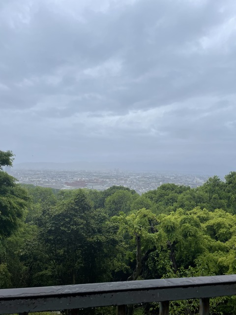 KakaoTalk_20250515_210625934_15