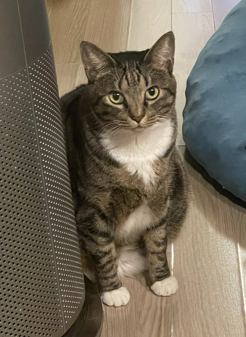 KakaoTalk_20250907_210722043