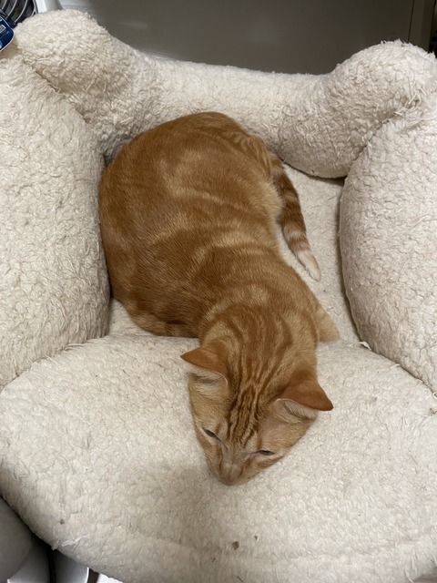 KakaoTalk_20231130_204908664_01