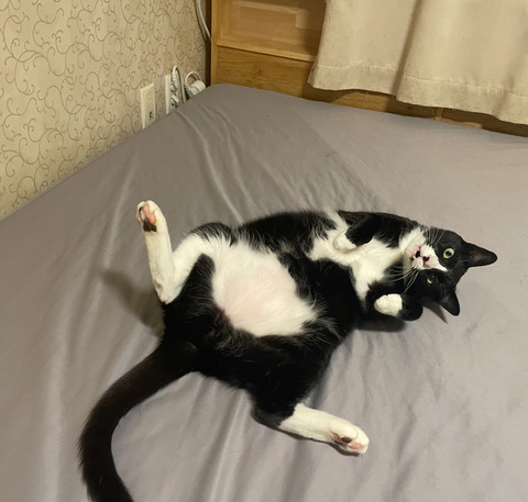 KakaoTalk_20250430_091643841