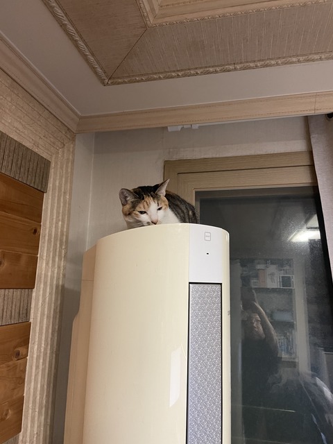 KakaoTalk_20240122_114856726_01