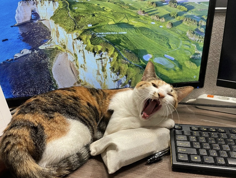 KakaoTalk_20230401_102601243_01