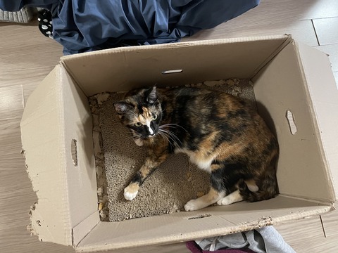 KakaoTalk_20230218_151425731