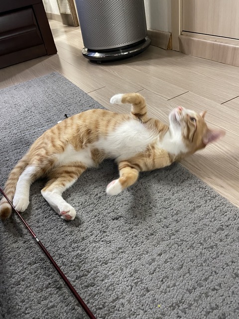 KakaoTalk_20210220_095349388