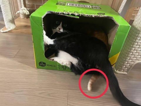KakaoTalk_20240614_100917327