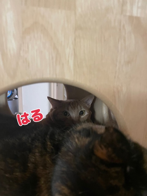 KakaoTalk_20240907_095516508
