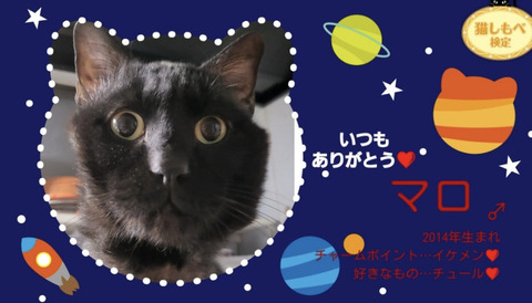 KakaoTalk_20240619_092759701_01