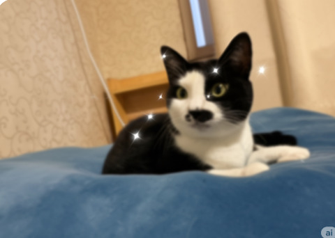 KakaoTalk_20250627_215336821_07