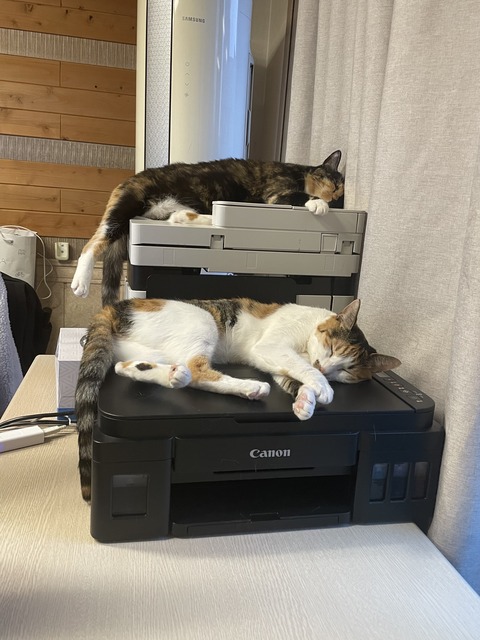 KakaoTalk_20240614_095539383_12