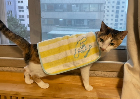 KakaoTalk_20250523_213039734_02