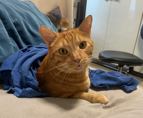 KakaoTalk_20250817_112451495_02