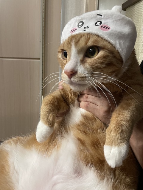 KakaoTalk_20240122_163207801