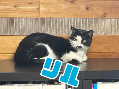 KakaoTalk_20221114_135217180