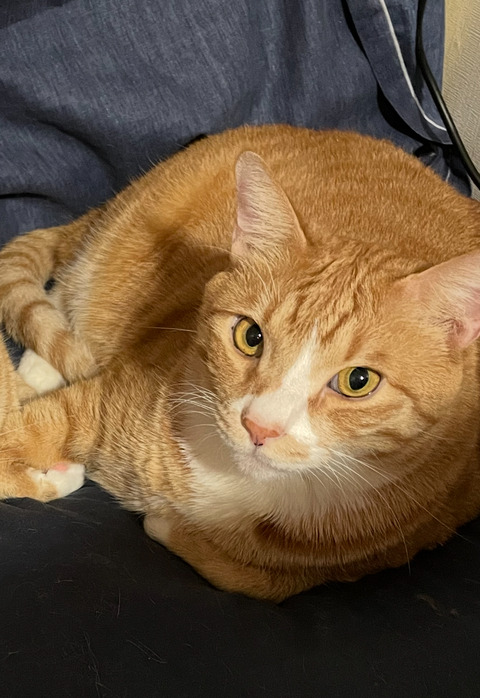 KakaoTalk_20250613_222055405