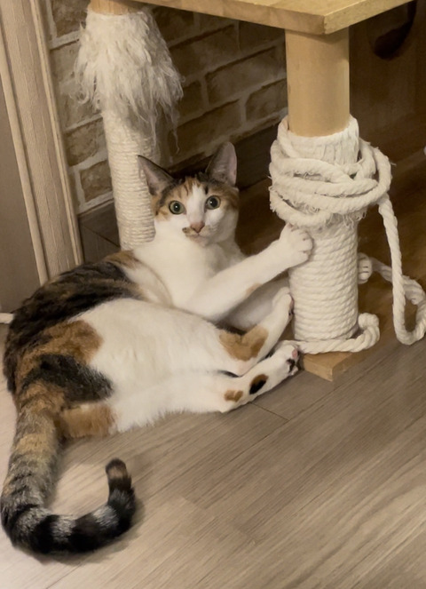 KakaoTalk_20240926_152845661