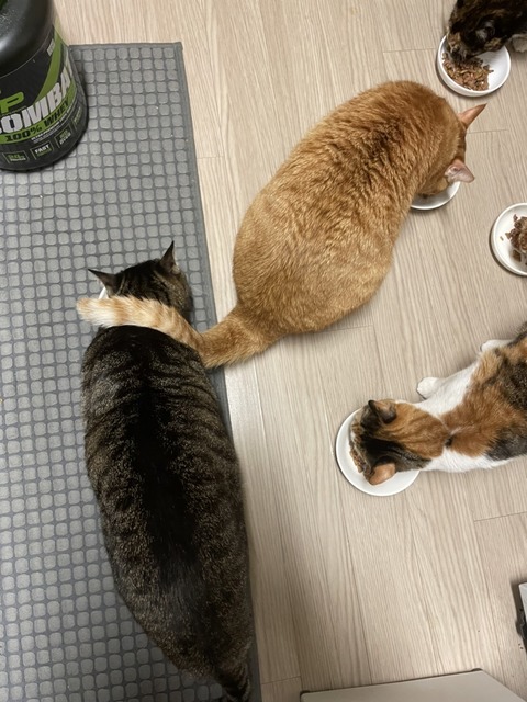 KakaoTalk_20230219_091651297