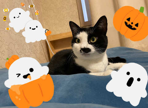 KakaoTalk_20250928_182521196_08