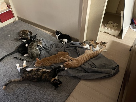 KakaoTalk_20210128_175615761_07