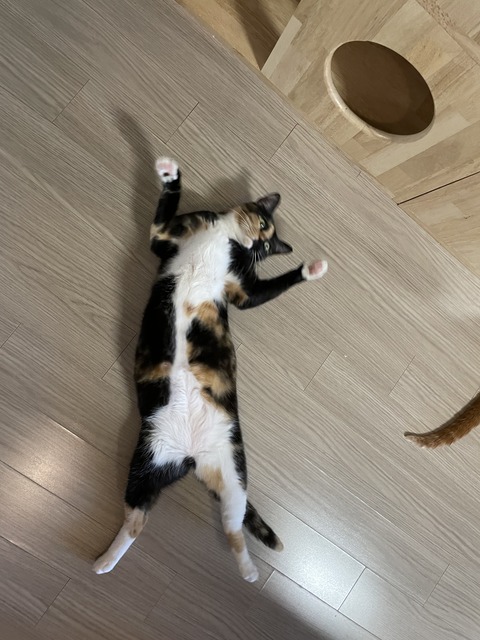 KakaoTalk_20230520_170637651