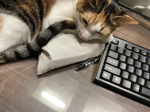 KakaoTalk_20230401_101326001