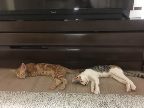 KakaoTalk_20200629_191249680_02