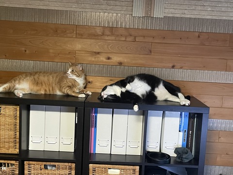 KakaoTalk_20250817_104228530_01