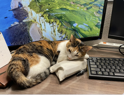 KakaoTalk_20230401_102601243_10