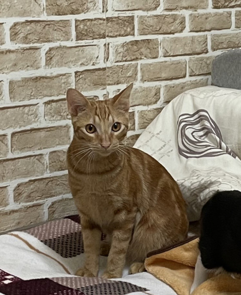 KakaoTalk_20201122_154707764_01