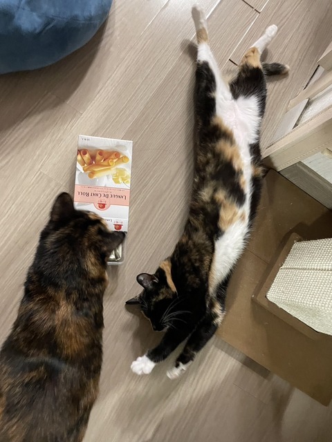 KakaoTalk_20240524_113236649_04