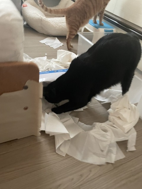 KakaoTalk_20231006_115959958