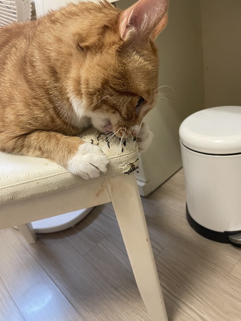 KakaoTalk_20250609_172755642_22