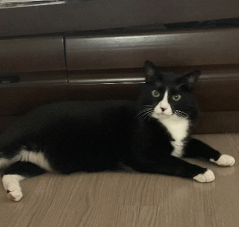KakaoTalk_20241029_095635623_02