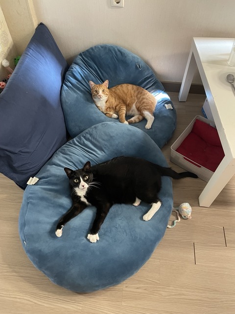 KakaoTalk_20240201_122410772_02
