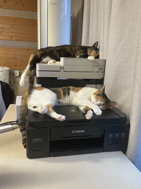 KakaoTalk_20240614_095539383_11