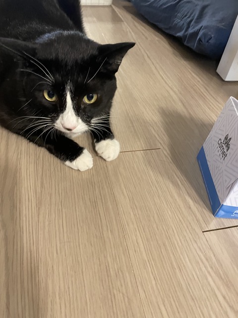 KakaoTalk_20231003_153451038