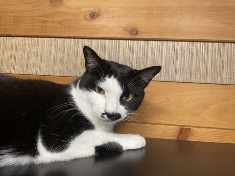 KakaoTalk_20230507_114258823