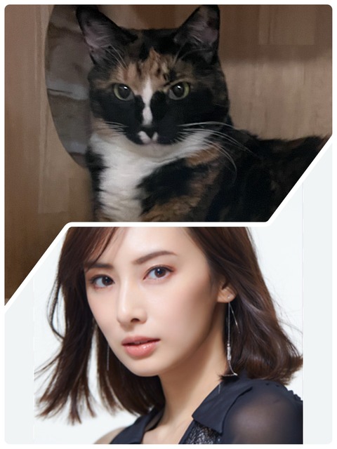 KakaoTalk_20250817_111206504_01