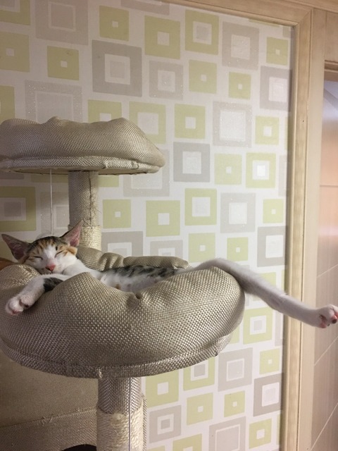 KakaoTalk_20200717_120523532