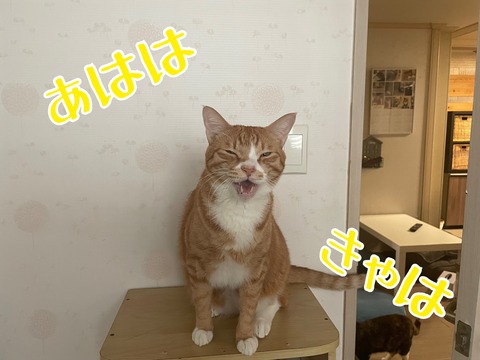 KakaoTalk_20240114_220048166
