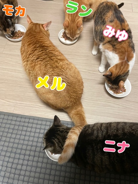 KakaoTalk_20230219_092059526